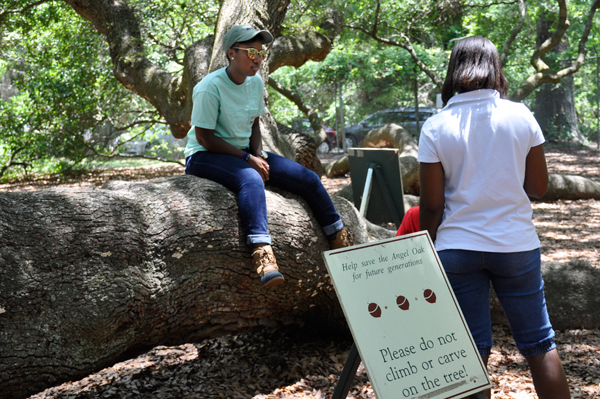 person sitting on the Angel Oak tree